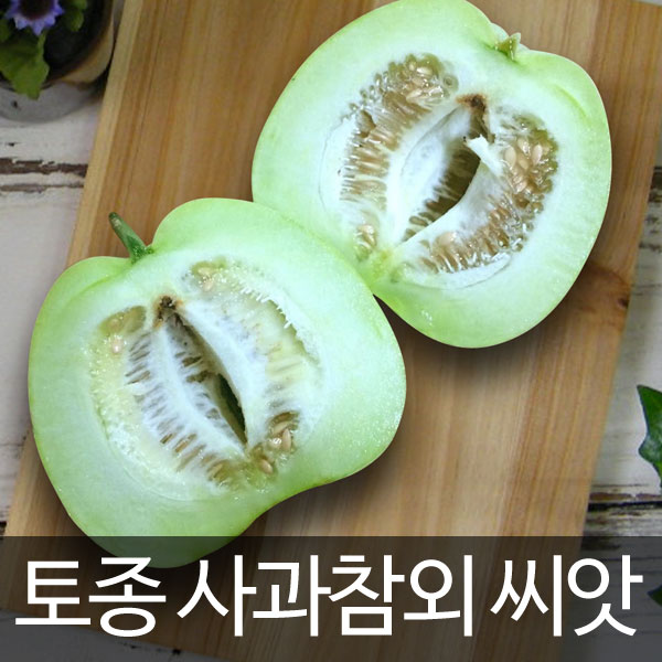 사과참외씨앗 사과참외 씨앗 참외씨앗 토종참외 ( apple melon seed 10알 )