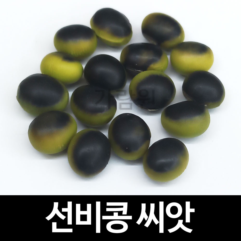 선비콩 씨앗 선비잡이콩 씨앗 선비재비콩 씨앗 정승콩 씨앗 ( seonbi bean seeds 50알 )
