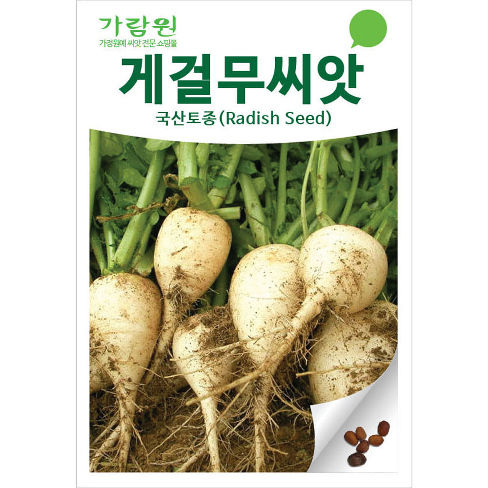 게걸무씨앗 게걸무 씨앗 토종무씨앗 토종무우 씨앗 무우씨앗 무씨앗 ( korean radish seed 300알 )